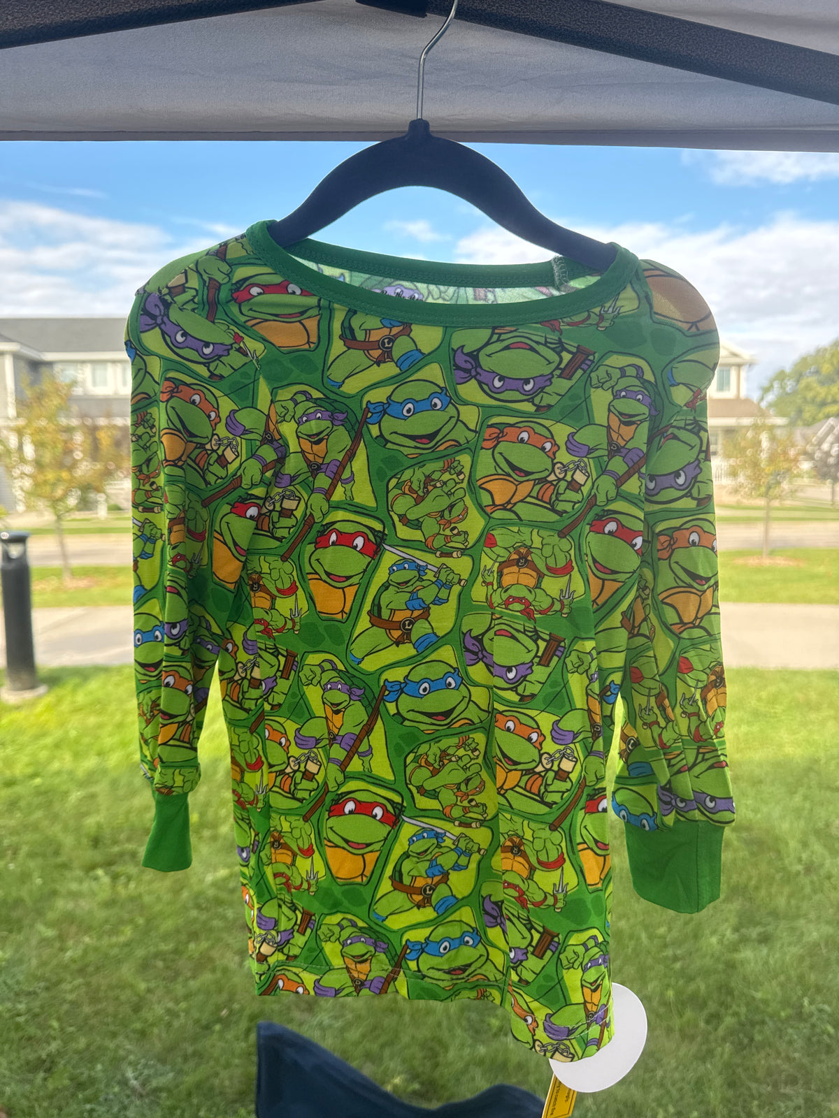 Fighting Turtles Pants Set